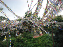 Load image into Gallery viewer, Tibetische Gebetsfahne KARNALI, 10 bunte Baumwolle-Wimpel
